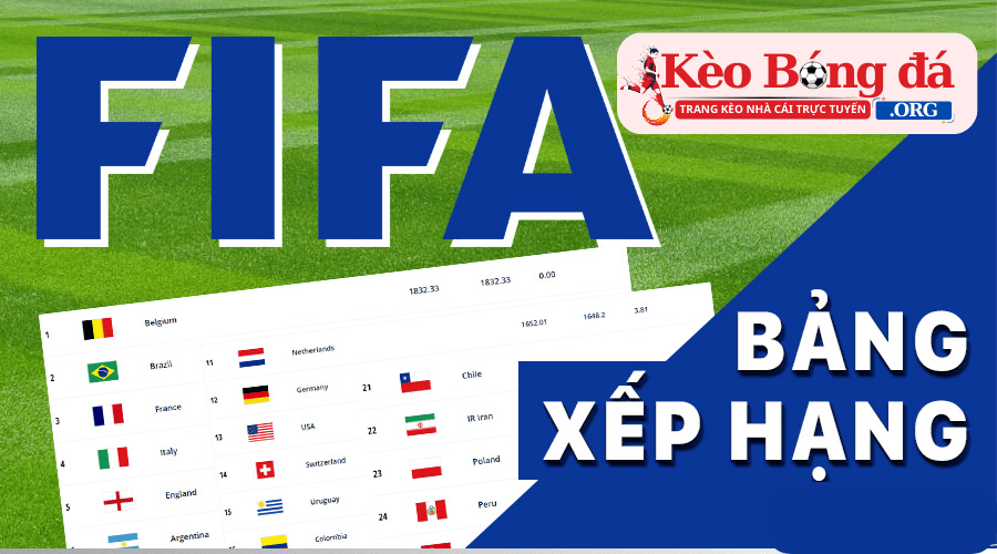 Cập nhật bảng xếp hạng bóng đá mới nhất từ fifa