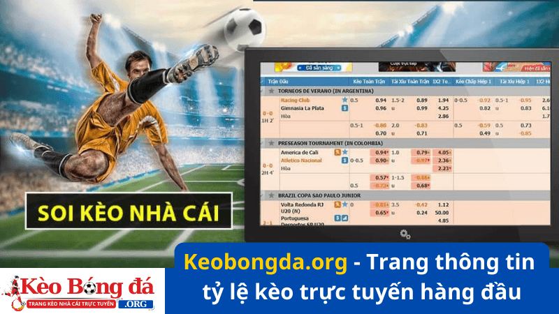 Keobongda.org - Trang thông tin tỷ lệ kèo trực tuyến hàng đầu