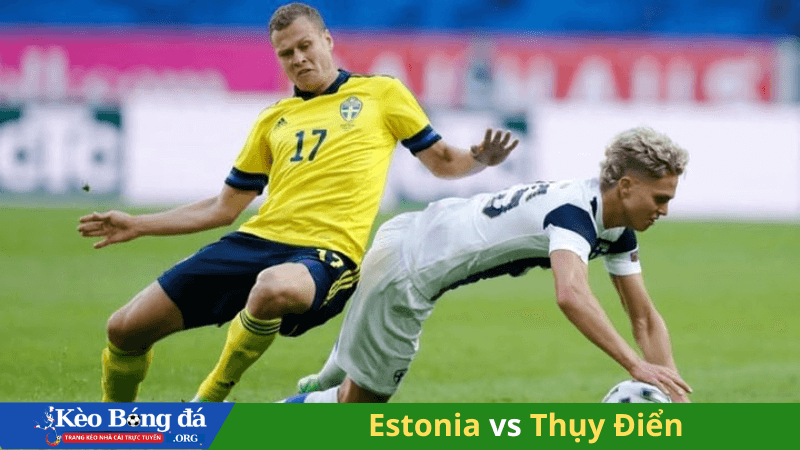 Soi kèo Estonia vs Thụy Điển